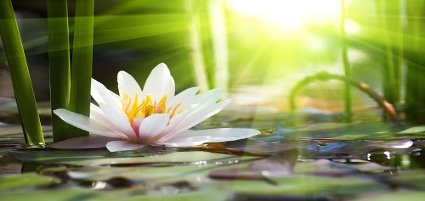 Hadorf: Einladung zur Sommermeditation am 31.08.2022